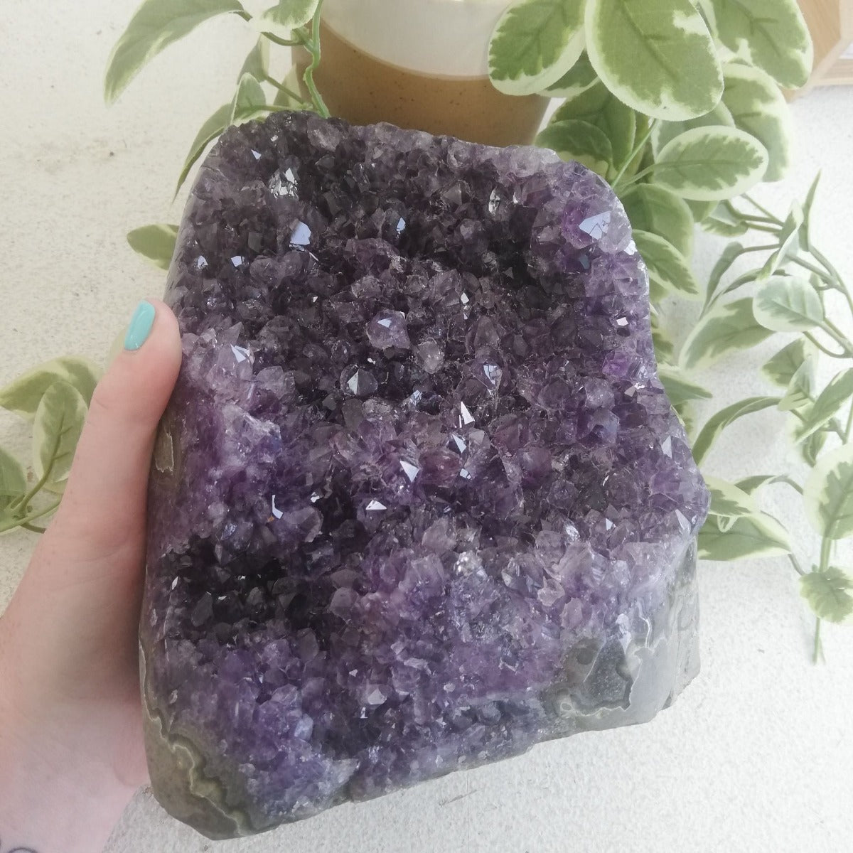 Amethyst - Cut Base Cluster - 65 Amethyst - Cut Base Cluster - 65